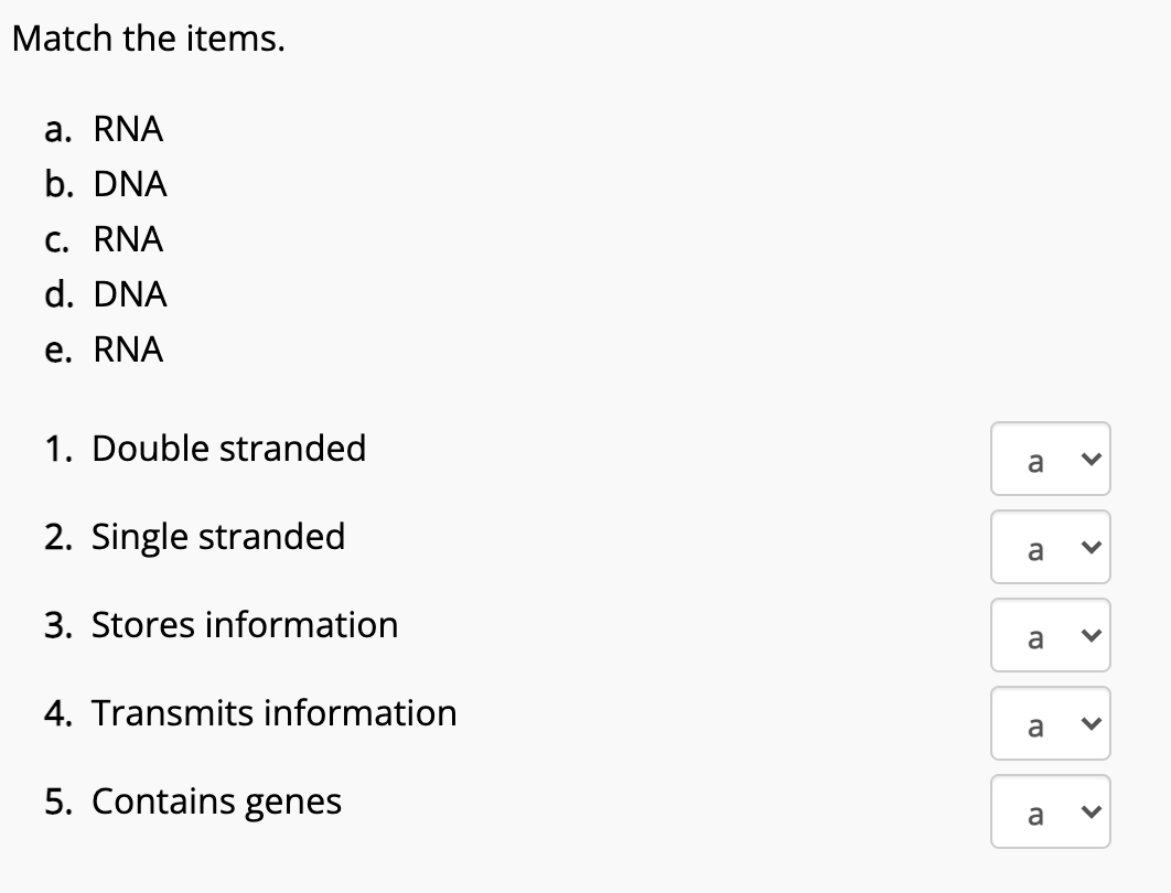 Solved Match the items. a. RNA b. DNA C. RNA d. DNA e. RNA | Chegg.com
