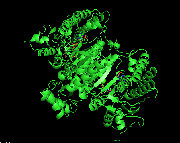 Solved B) Examine The Active Site In 1IDH. Which Amino Acids | Chegg.com