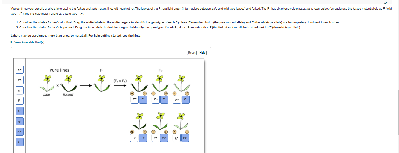 solved-why-part-a-and-part-b-of-this-questions-are-solved-chegg