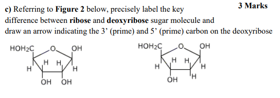 Solved 3 Marks c) Referring to Figure 2 below, precisely | Chegg.com