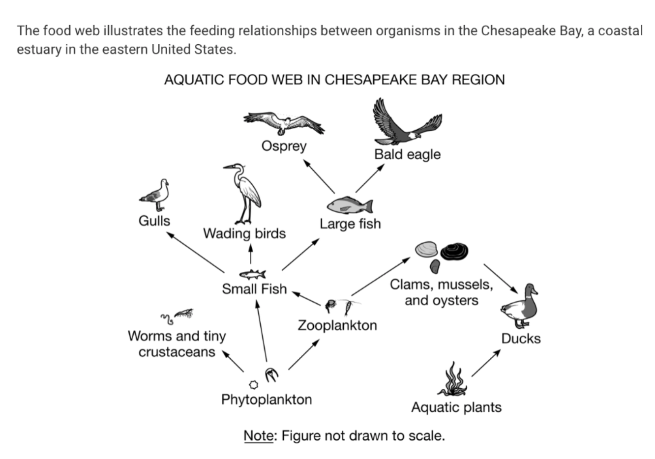 Solved (e) The city of Baltimore is located on the western
