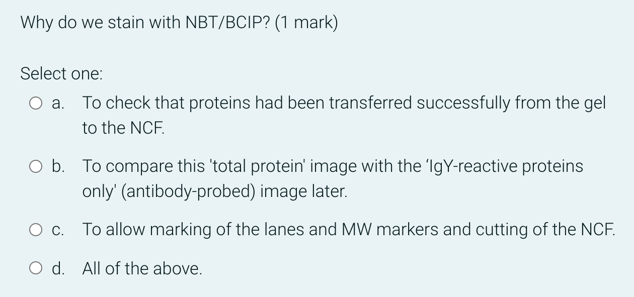 Solved Why do we stain with NBT/BCIP? (1 mark) Select one: | Chegg.com