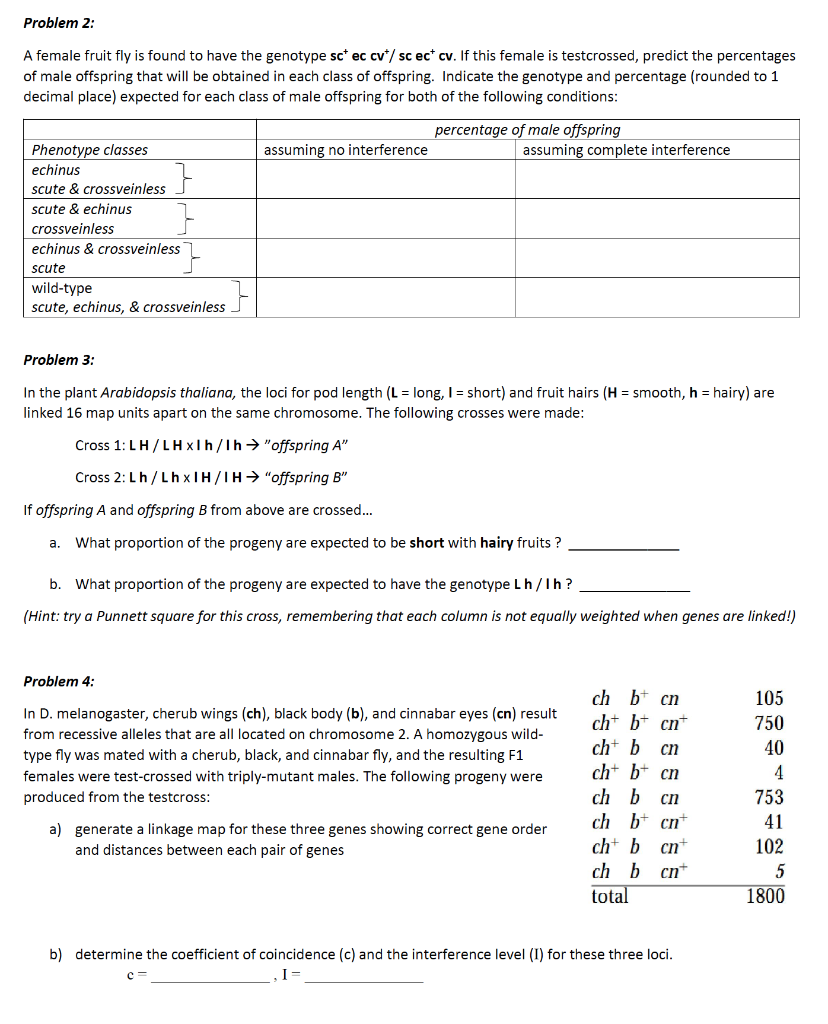 40+ Awesome Punnett Square Generator Worksheet Answers