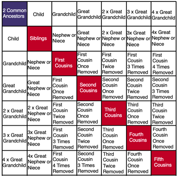 how-many-pairs-of-chromosomes-are-in-a-human-body