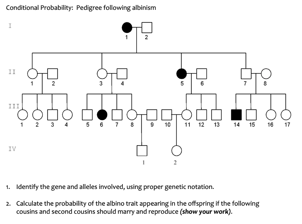 Solved Conditional Probability: Pedigree following albinism | Chegg.com