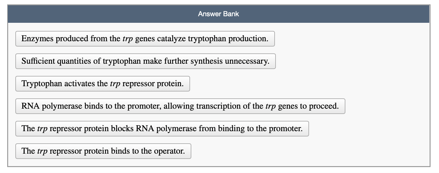 Arrange The Lights Answer - cathyhomedesign