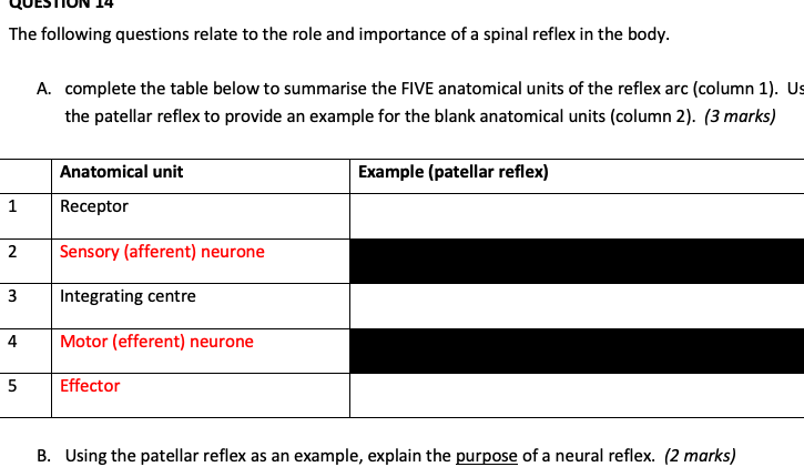 Solved The Following Questions Relate To The Role And Chegg Com