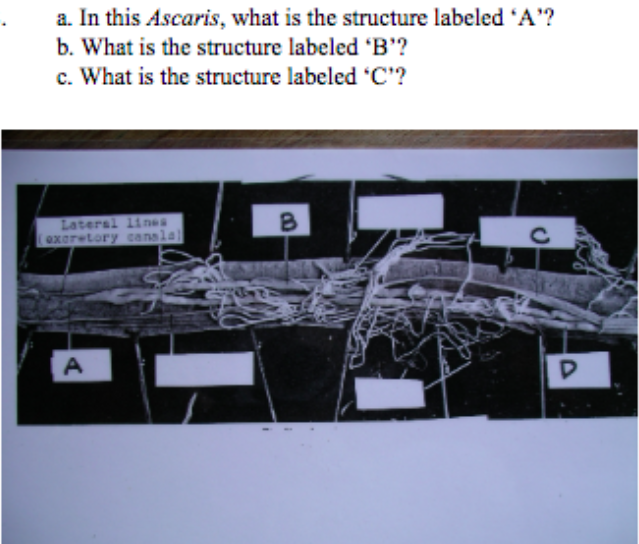 student submitted image, transcription available below