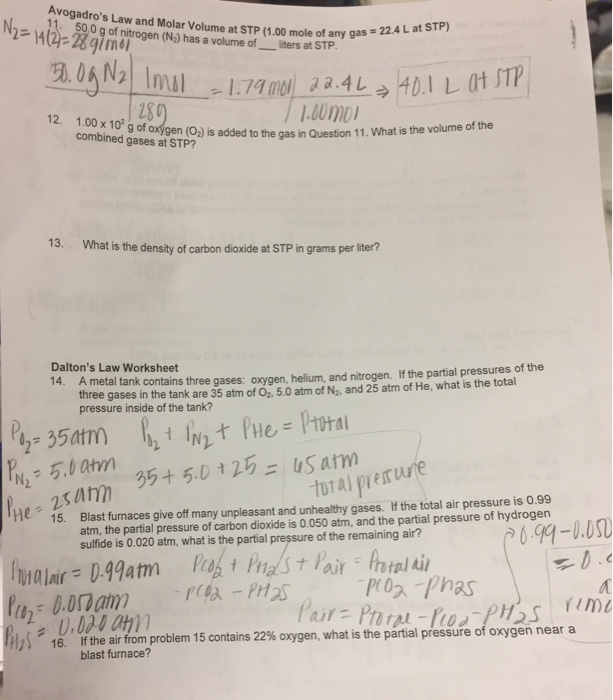 avogadros-law-worksheet-worksheet-education
