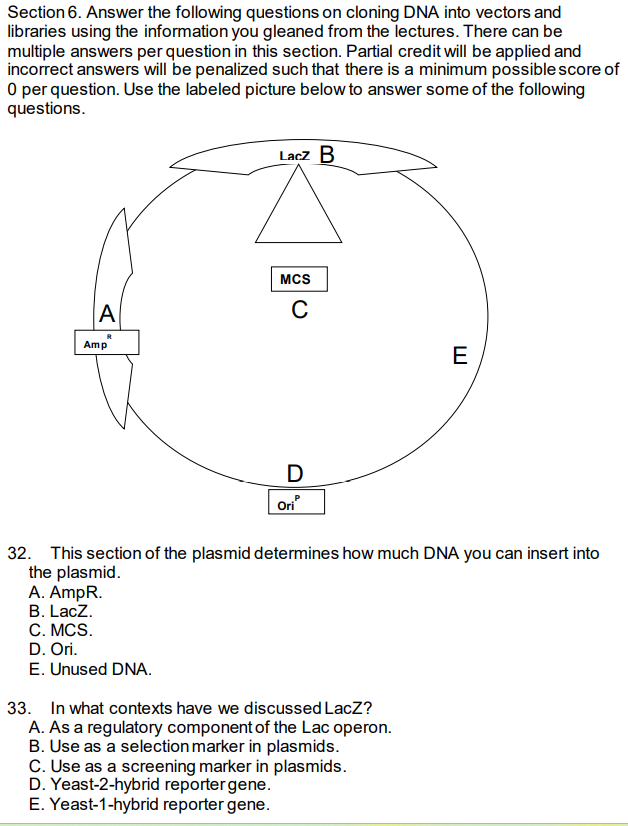 Solved Section 6. Answer the following questions on cloning