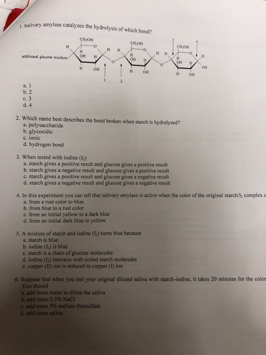 solved-1-salivary-amylasatayzes-the-hydrolysis-of-which-chegg