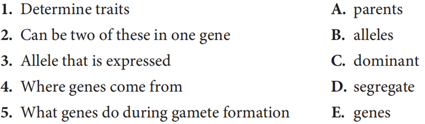 Solved 1. Determine traits A. parents 2. Can be two of these | Chegg.com