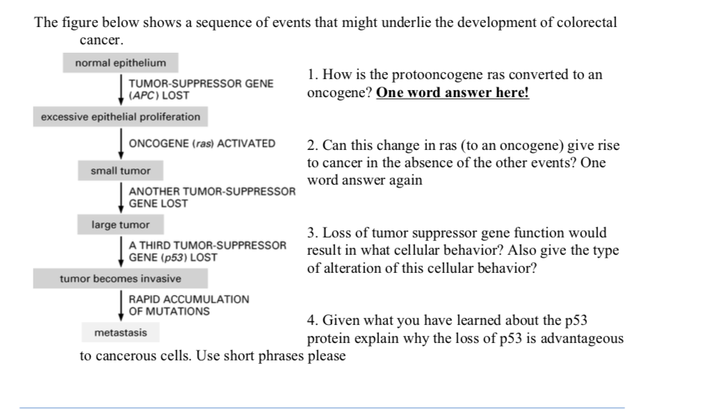 solved-the-figure-below-shows-a-sequence-of-events-that-chegg