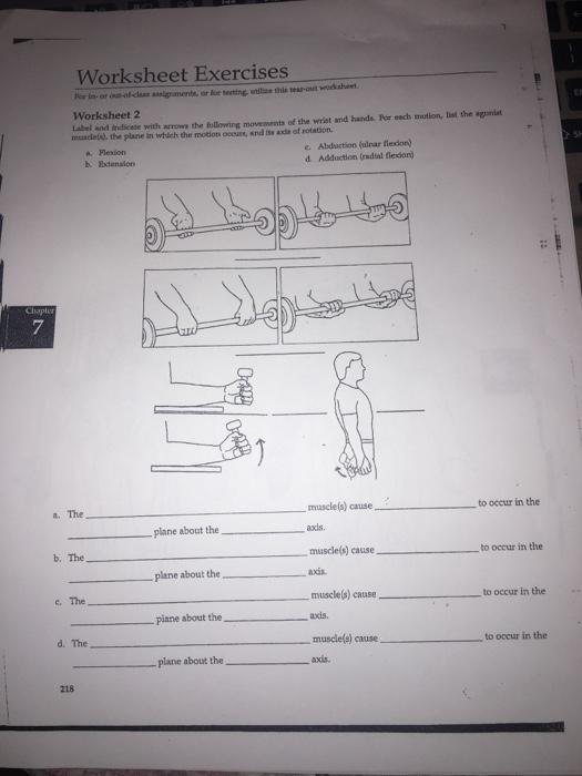 Solved: Worksheet Exercises For In-or Out-of-class Assignm... | Chegg.com