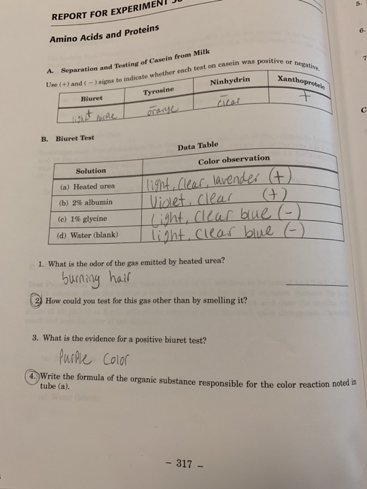 Solved REPORT FOR EXPERIMENT Amino Acids and Proteins 6 A.