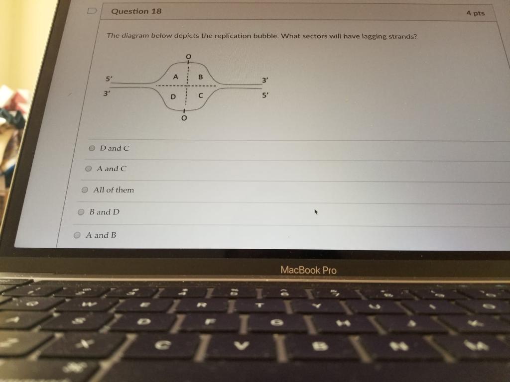 Solved Question 18 4 pts The diagram below depicts the | Chegg.com