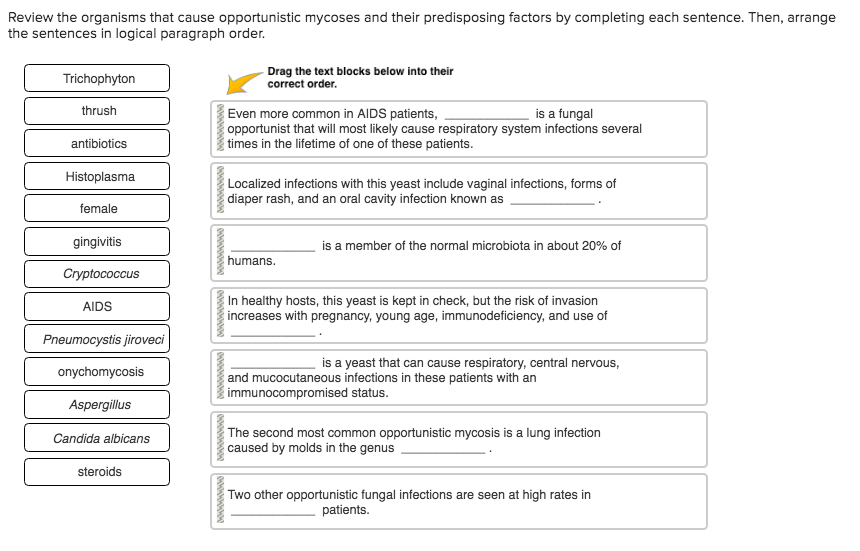 Solved Review the organisms that cause opportunistic mycoses | Chegg.com