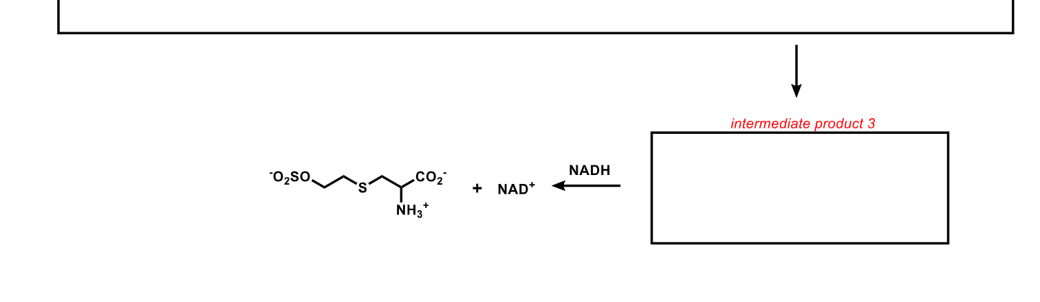 Pyruvate is produced from the five-step biochemical | Chegg.com