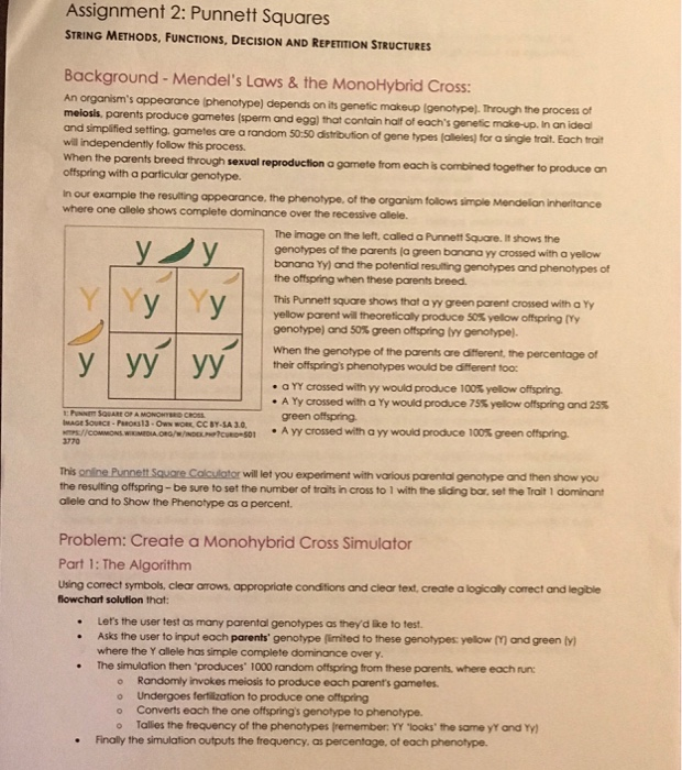 assignment 2 punnett squares
