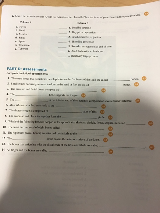 Solved Match the terms in column A with the definitions in | Chegg.com