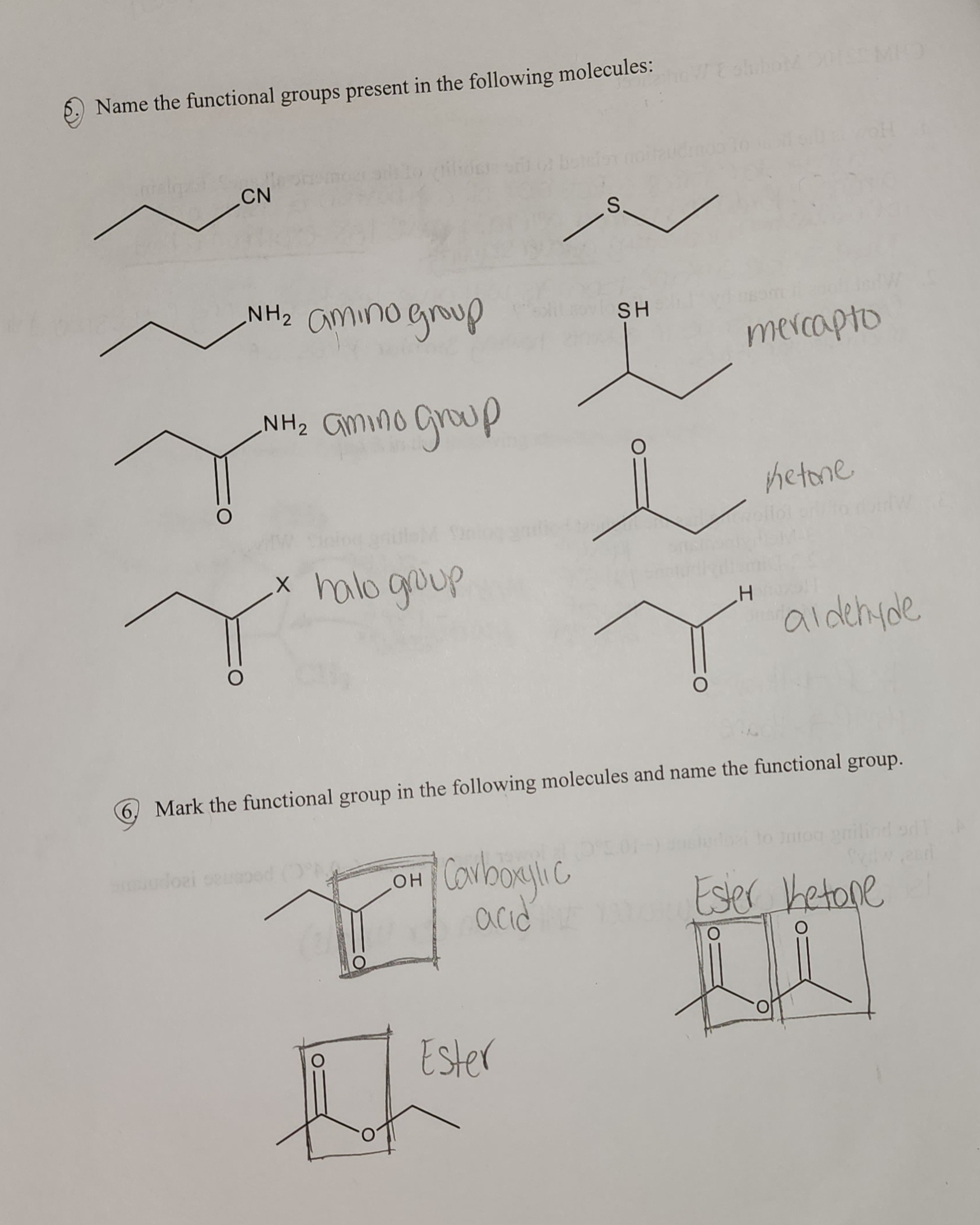 Solved (5.) ﻿Name the functional groups present in the | Chegg.com