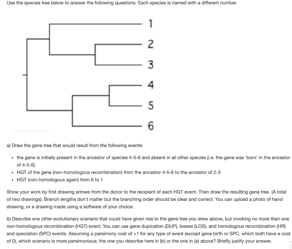 Solved Use the species tree below to answer the following | Chegg.com