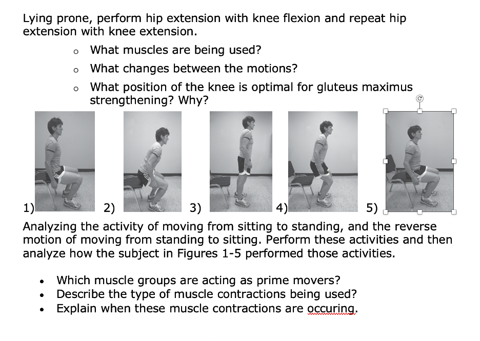 Lying prone, perform hip extension with knee flexion and repeat hip
extension with knee extension.
What muscles are being use