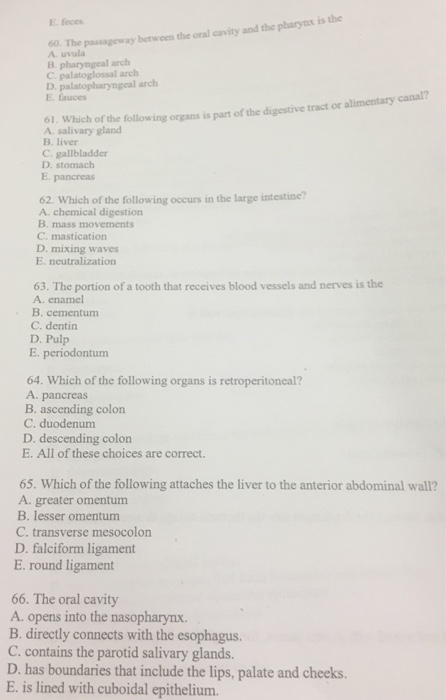 Solved The passageway between the oral cavity and the | Chegg.com