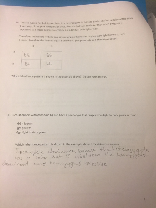 Solved Non-Mendelian Genetics Problems 9-25-17 There Is A | Chegg.com