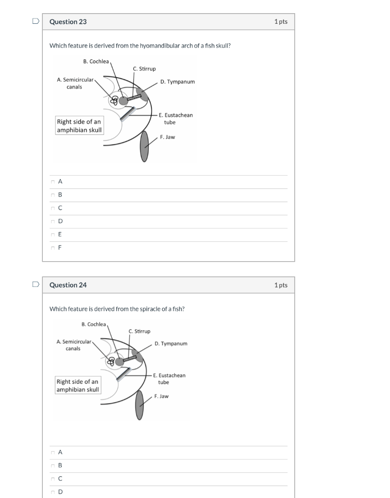 Question 21 1 pts Which of the following tetrapod | Chegg.com