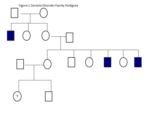 2 Figure 1 Genetic Disorder Family Pedigree O O | Chegg.com