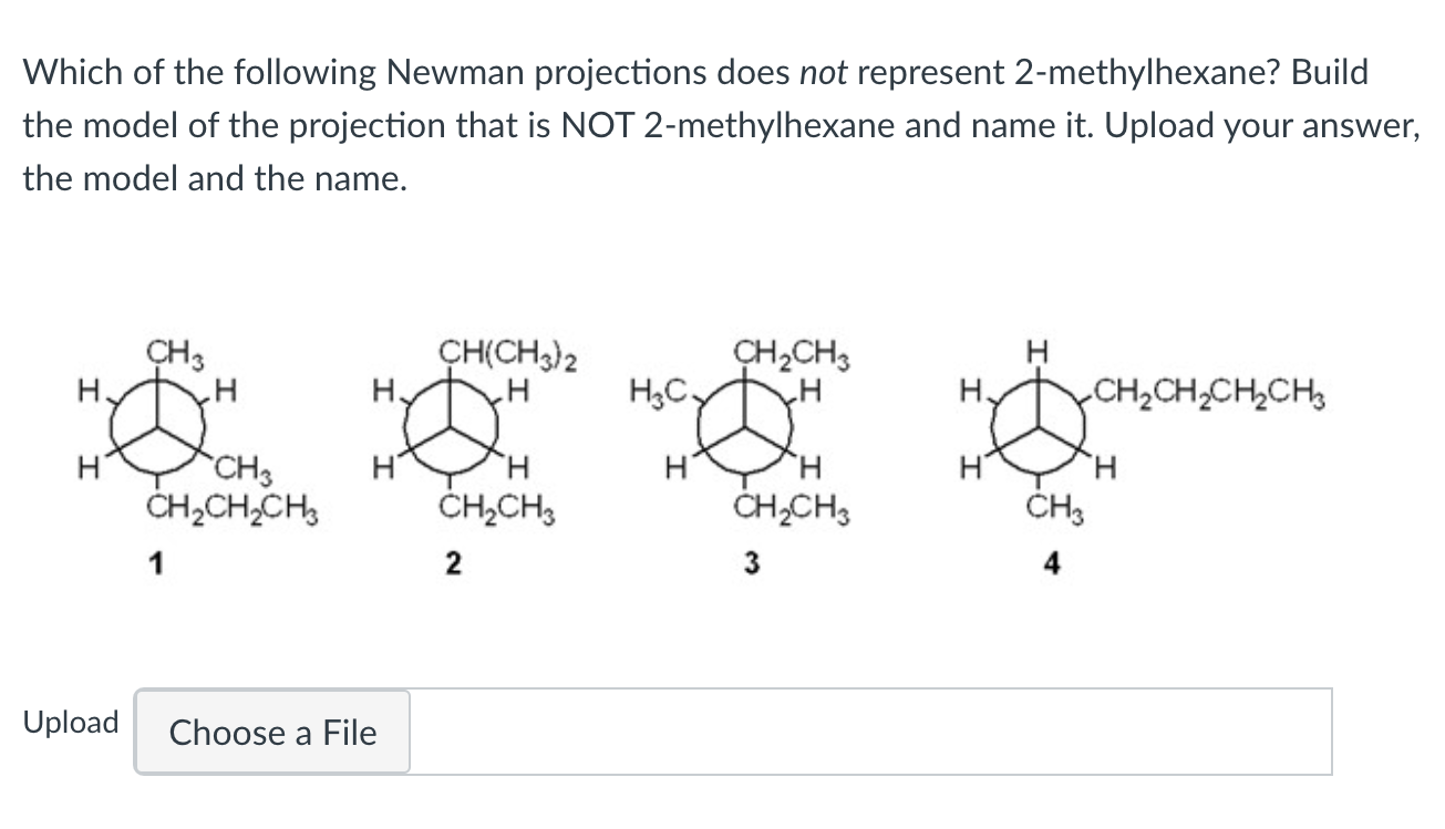 2 methylhexane newman projection