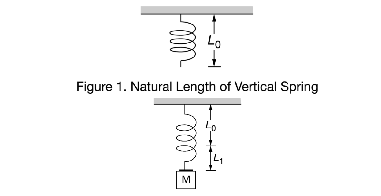 Solved lll Lo Figure 1. Natural Length of Vertical Spring | Chegg.com