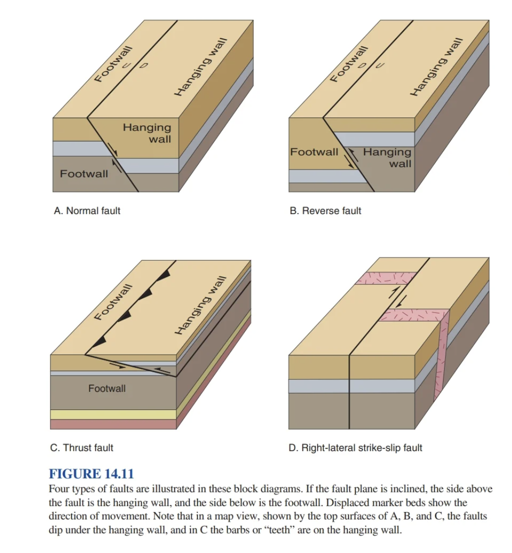 Solved A. Normal fault B. Reverse fault C. Thrust fault D. | Chegg.com