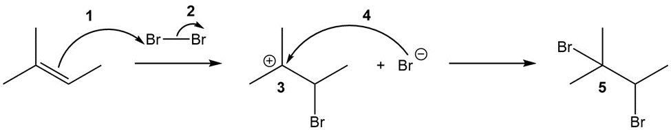 Solved Indicate where the error is located in the mechanism | Chegg.com