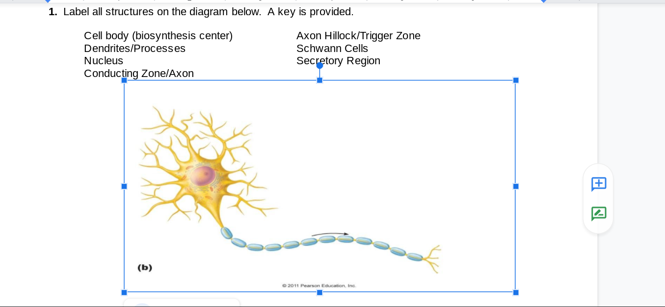 Solved 2. Define in detail the all-or-none phenomenon | Chegg.com