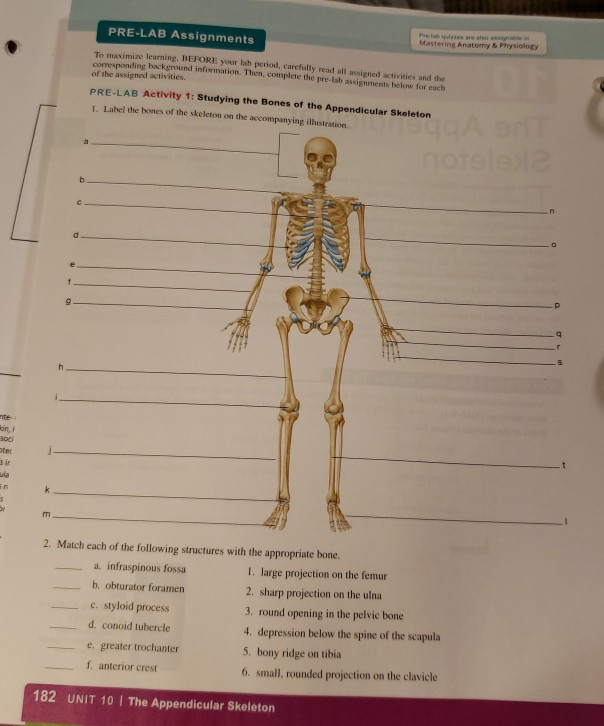 anatomy and physiology homework help