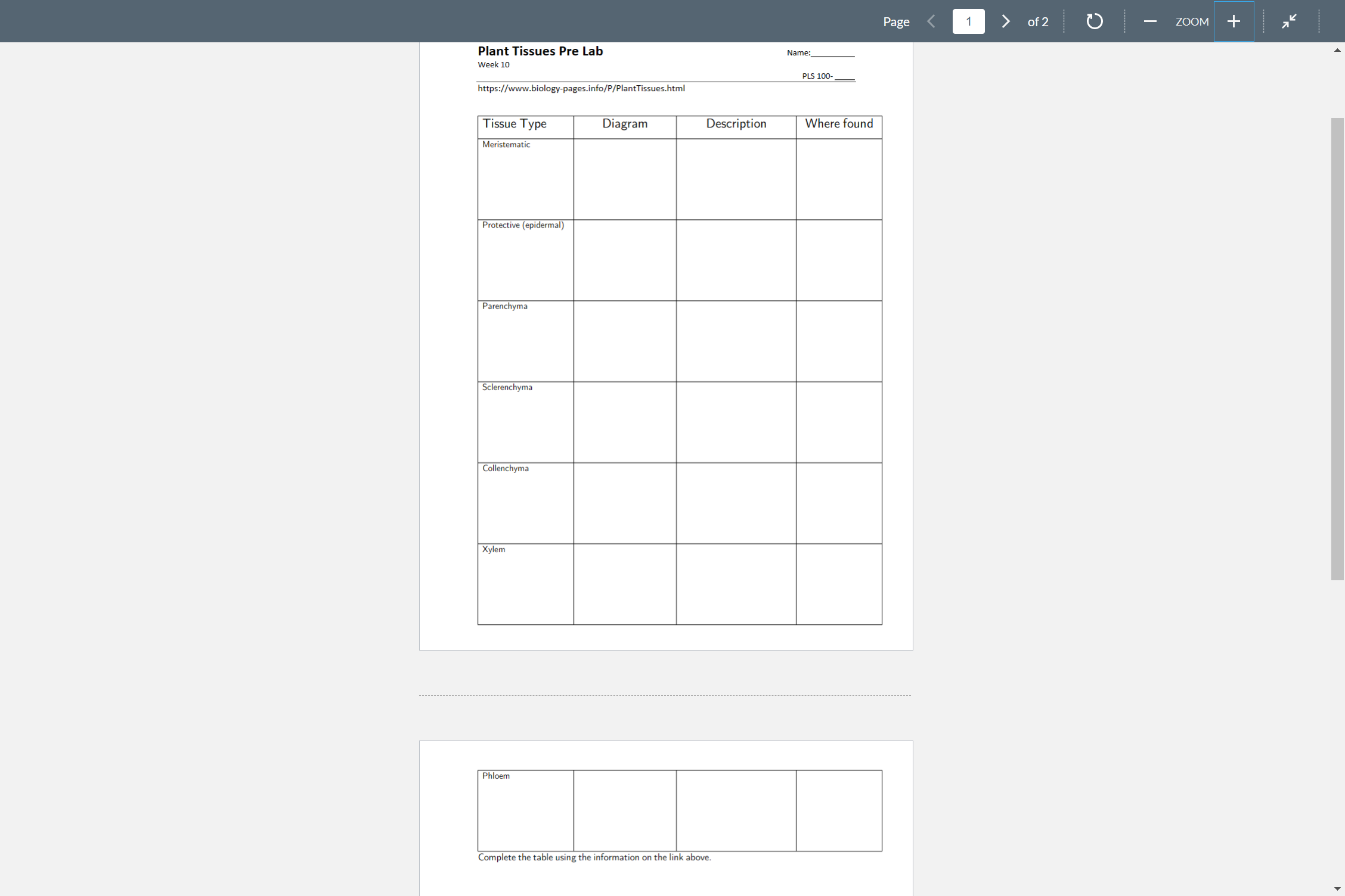 solved-https-www-biology-pages-info-p-planttissues-html-chegg