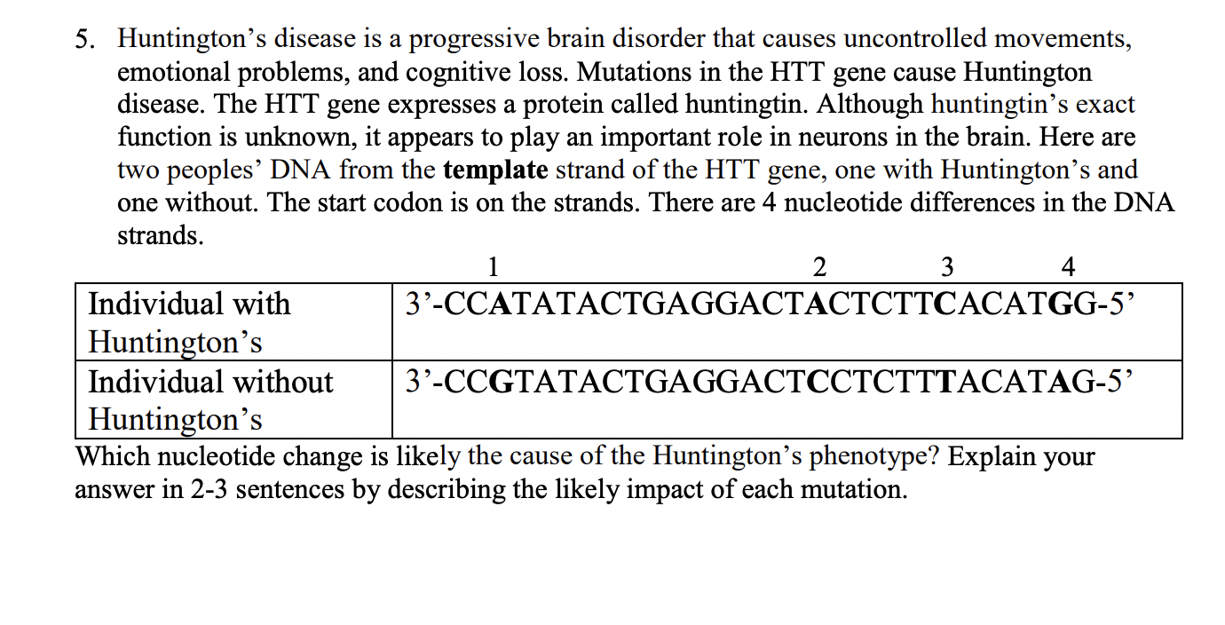 5. Huntington's disease is a progressive brain | Chegg.com