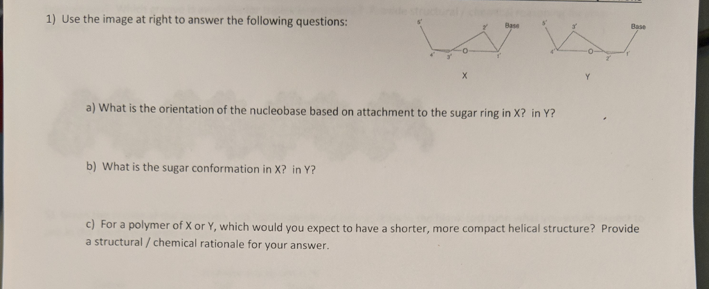 Solved 1) Use the image at right to answer the following | Chegg.com