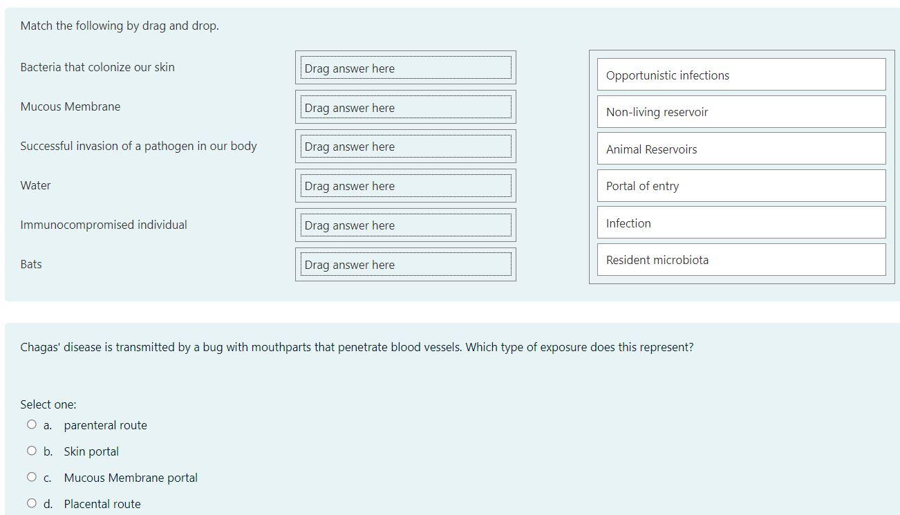 Solved Match the following by drag and drop. Bacteria that | Chegg.com