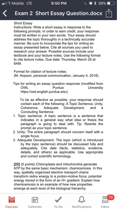 Write short essay format