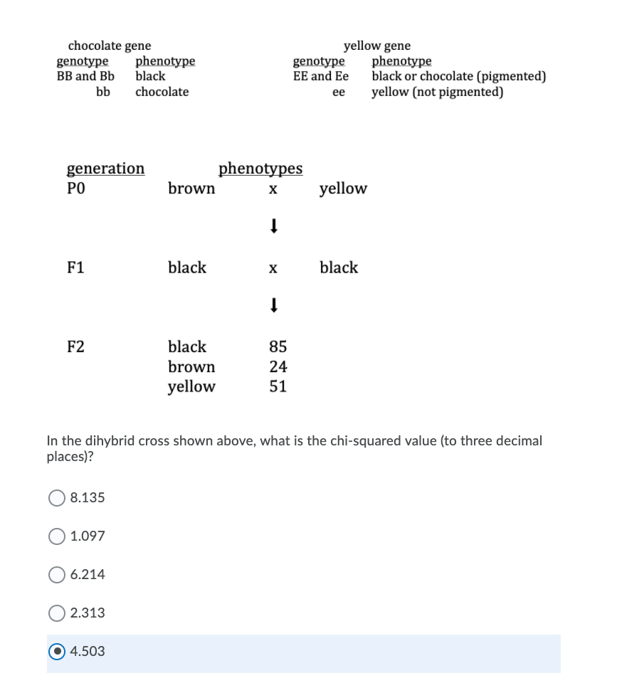 Solved chocolate gene genotype phenotype BB and Bb black bb | Chegg.com