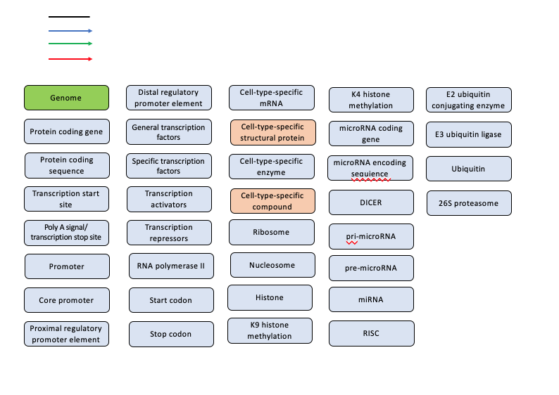 Solved Make a concept map of regulation of gene expression.