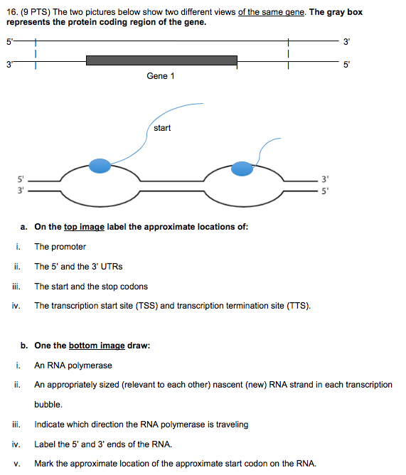 Solved 16. (9 PTS) The two pictures below show two different | Chegg.com