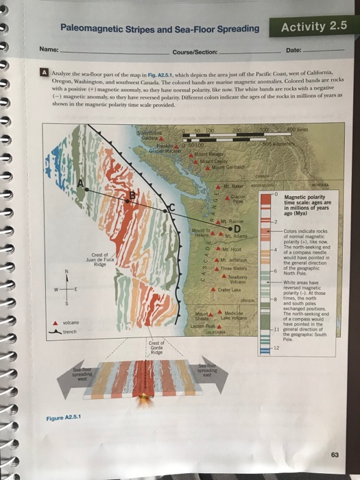 Paleomagnetism And The Ocean Floor Worksheet Answer Key | Viewfloor.co