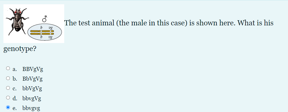 Solved Evolution Help Practice Problem with multiple | Chegg.com