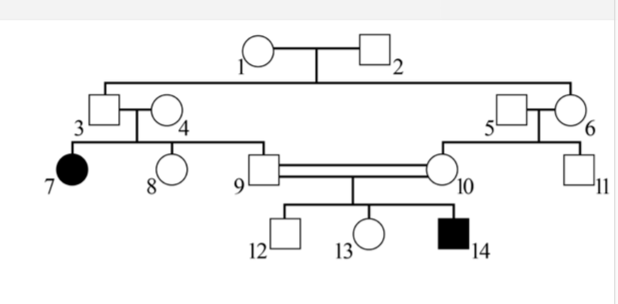 Solved The Given Image Shows The Pedigree Of A Family With 