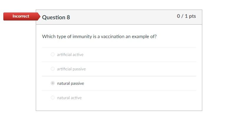 Solved Partial Question 2 0.67 / 1 pts Select all that are | Chegg.com