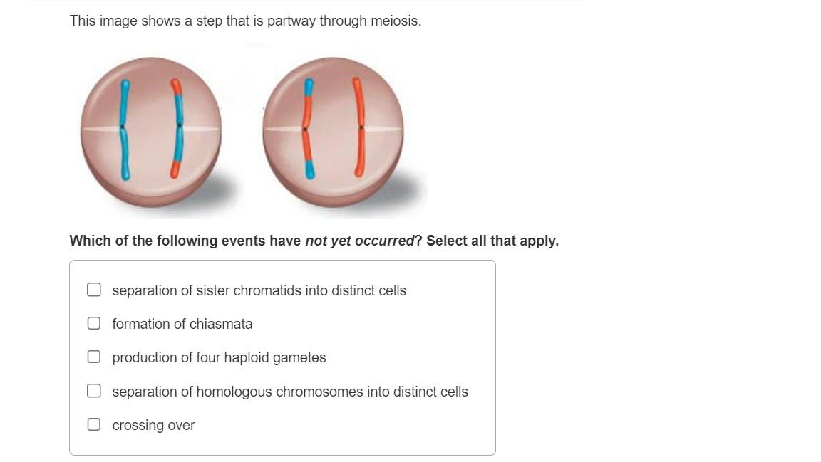 Solved This image shows a step that is partway through